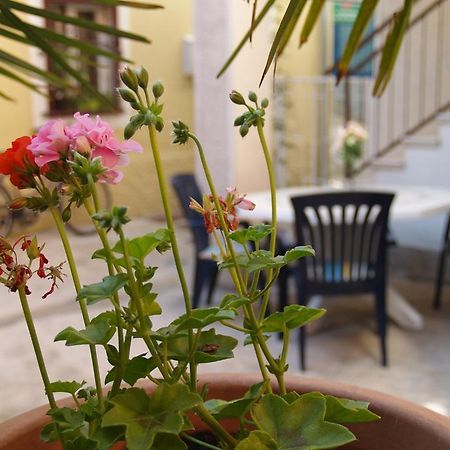 Apartment Nana 1 ชิเบนิก ภายนอก รูปภาพ